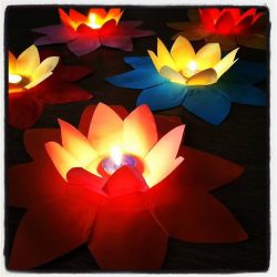 lot de 60 Lanternes flottantes - fleur de lotus en papier